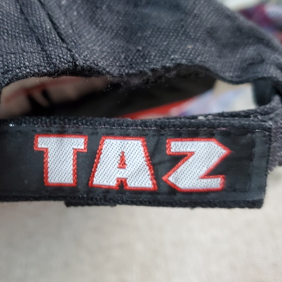 VTG Tasmanian Devil hat - Picture 4 of 4